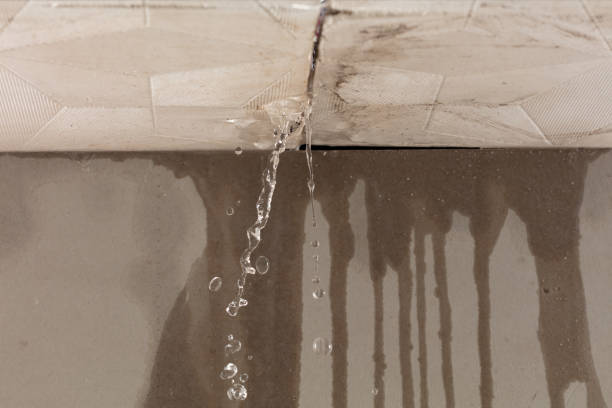 Professional Water Extraction technician working in Flushing, OH